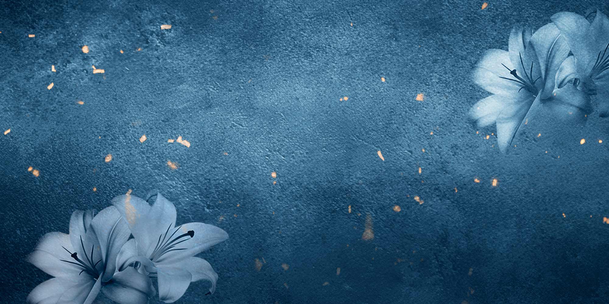 Unsettled – Rose Haussmann